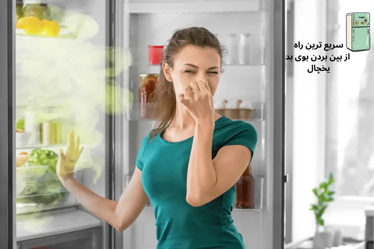 سریع‌ترین راه از بین بردن بوی بد یخچال (علل + روش‌های فوری و خانگی) | گنجه مارکت